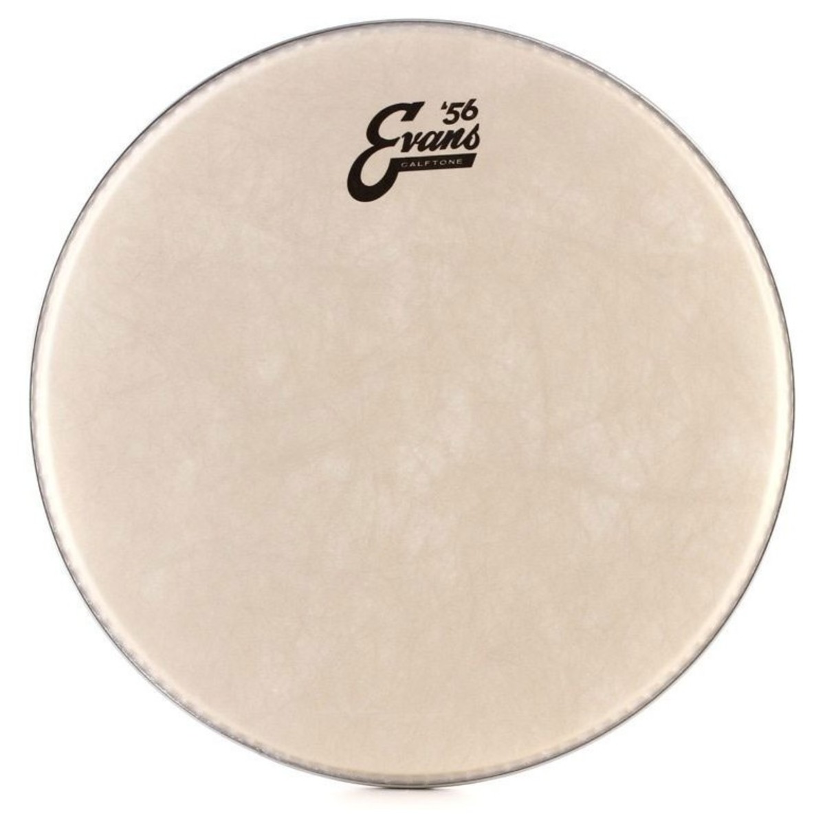 Evans 56 Calftone 14 Drum head