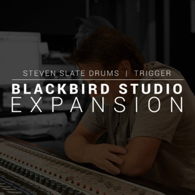 Blackbird Expansion For Steve Slate Drums