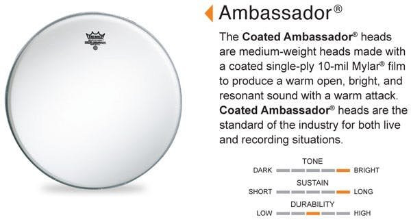 Remo Ambassador Coated 18" Bass Drum Head - Image 5